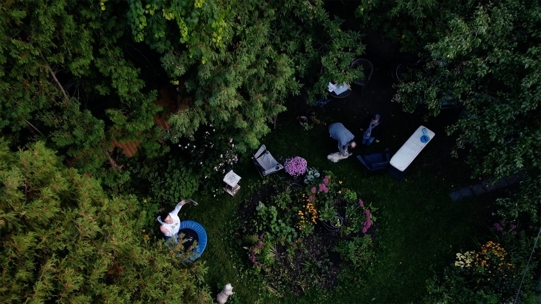 Aerial shot of back yard